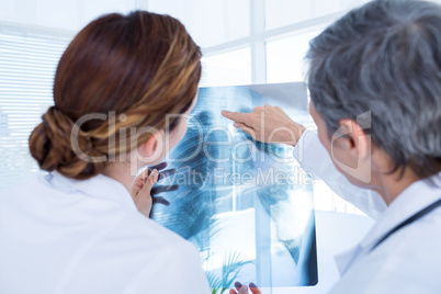 Rear view of concentrated medical colleagues examining x-ray tog