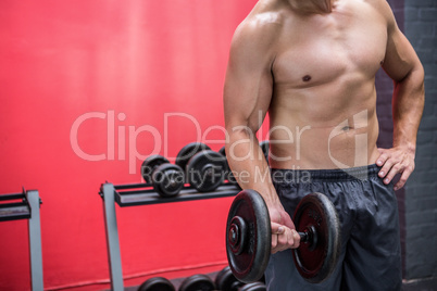 Muscular man lifting dumbbell