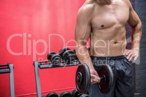 Muscular man lifting dumbbell