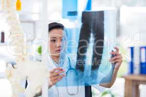Concentrated doctor analyzing X-rays