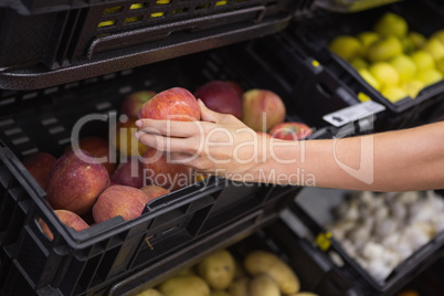 Hands picking apples on a shelf