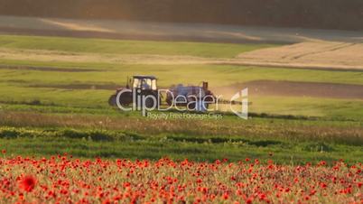 Poppy field with tractor