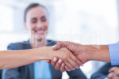 Business people shaking hands during meeting