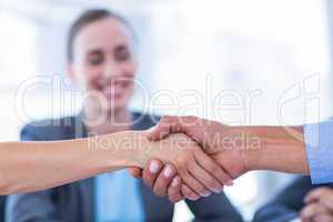 Business people shaking hands during meeting