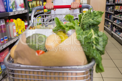 woman buy products with her trolley