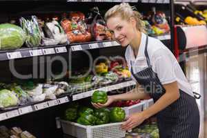 Portrait of a smiling blonde worker taking a vegetables