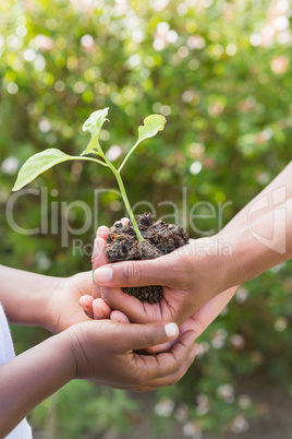 A woman plant a flower with a child