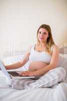 Pregnant woman using laptop computer