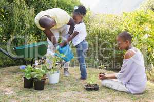Happy smiling family plant a flowers together