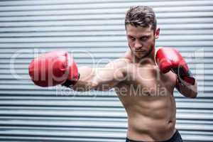 Concentrated muscular boxer