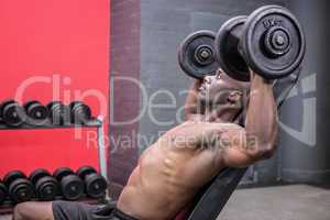 Young Bodybuilder doing weightlifting