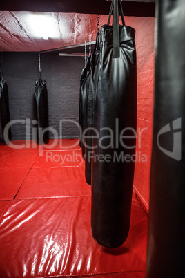 Punching bags in red boxing area