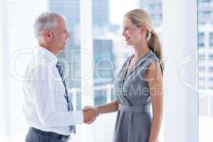 Two smiling business people shaking hands