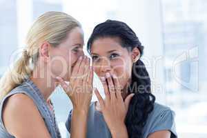 Businesswoman whispering gossip to her colleague