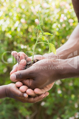 A man plant a flowers with a child