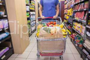 Woman pushing trolley in aisle