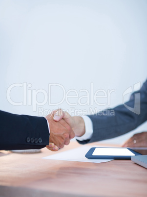 Two colleagues buinessmen shaking hands