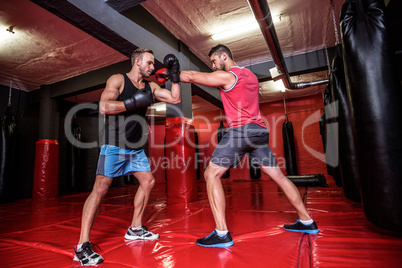 Two boxing men exercising together