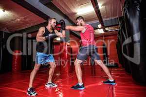 Two boxing men exercising together