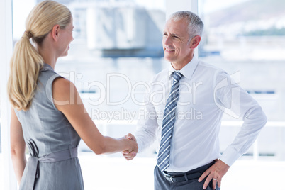 Two smiling business people shaking hands