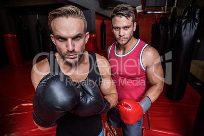 Boxing men looking at the camera