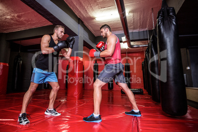 Two boxing men exercising together