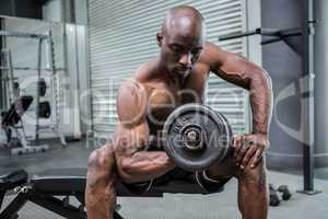 Young Bodybuilder doing weightlifting