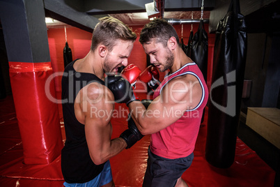 Two boxing men exercising together