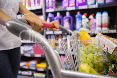 woman buy products with her trolley