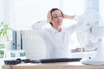 Smiling businesswoman before the fan