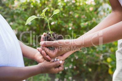 A woman plant a flower with a child