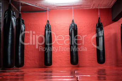 Punching bags in red boxing area