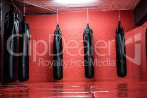 Punching bags in red boxing area