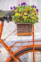 Fahrrad mit Blumenkasten