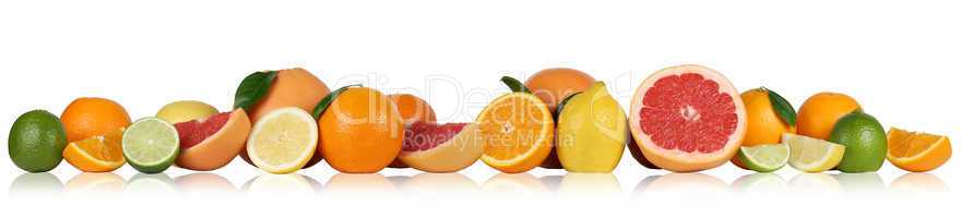 Früchte Orangen Zitronen Grapefruit in einer Reihe