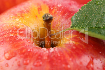 Makro roter Apfel Frucht mit Blatt