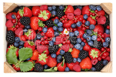 Beeren Früchte in Holzkiste mit Erdbeeren, Himbeeren und Kirsch