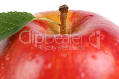 Makro roter Apfel Frucht mit Blatt Freisteller