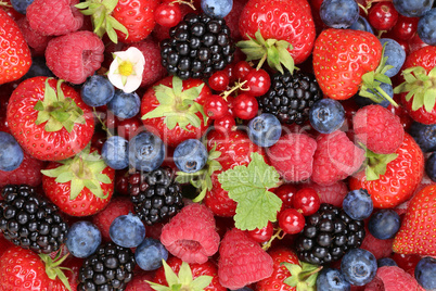 Beeren Früchte Hintergrund mit Erdbeeren, Himbeeren und Brombee