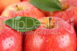 Rote Äpfel Früchte mit Blatt