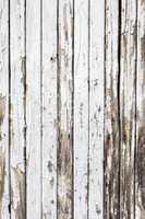 Vintage  White  Wood Wall