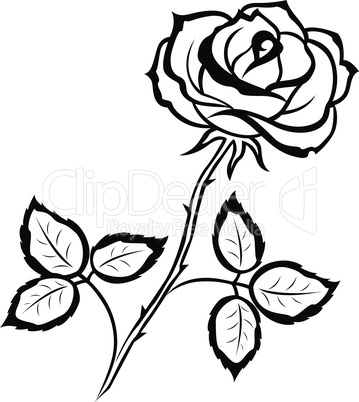 Black outline of rose flower