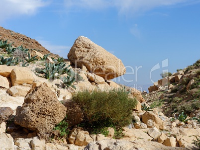 Yellow rock on the hill slope in desert in spring