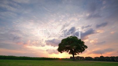sunset clouds and tree time lapse long 11662