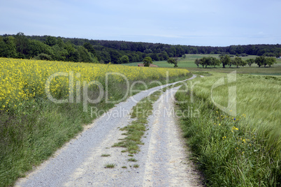 Feldweg