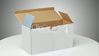 Real Cardboard box