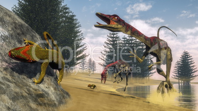 Compsognathus dinosaurs - 3D render