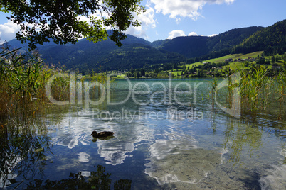 Weissensee