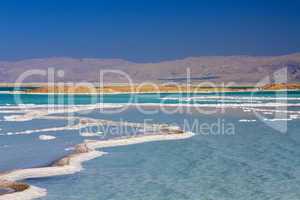 Beautiful coast of the Dead Sea .