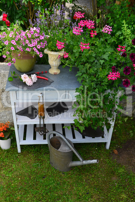 Pflanztisch mit Blumen im Garten